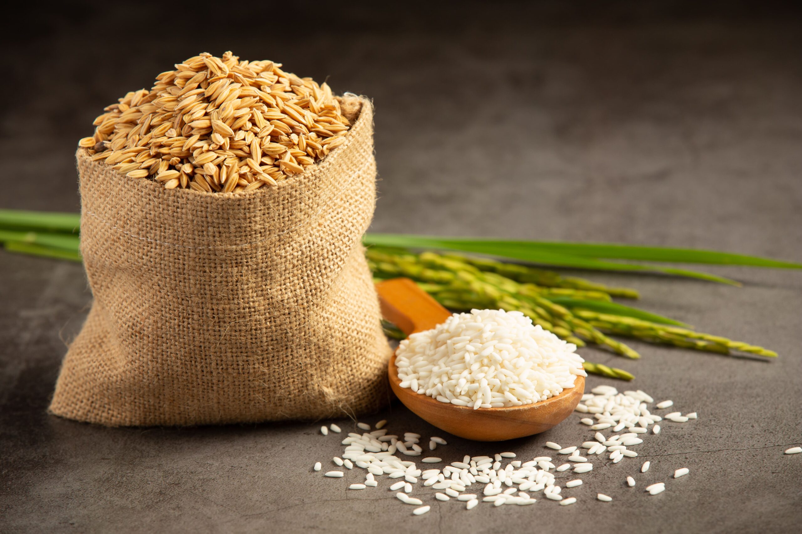 sack-rice-seed-with-white-rice-small-wooden-spoon-rice-plant